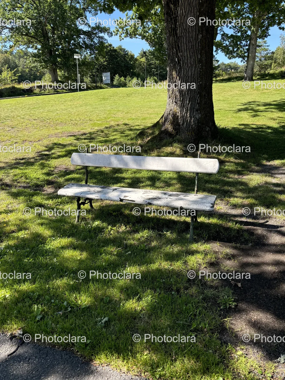 serene-park-bench.jpg