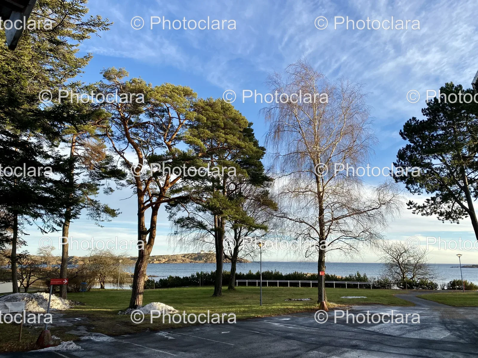 Tranquil-Trees-by-the-Lake.jpg