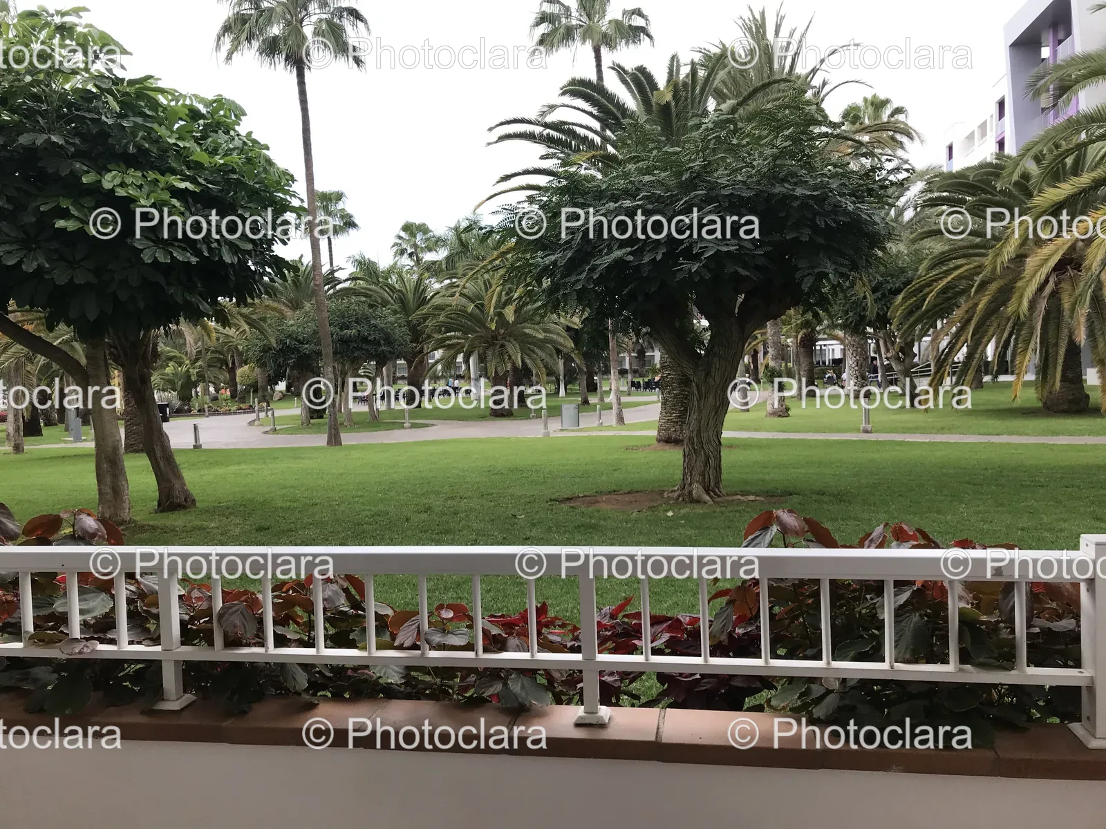 White-Railing-Trees-Greenery.jpg