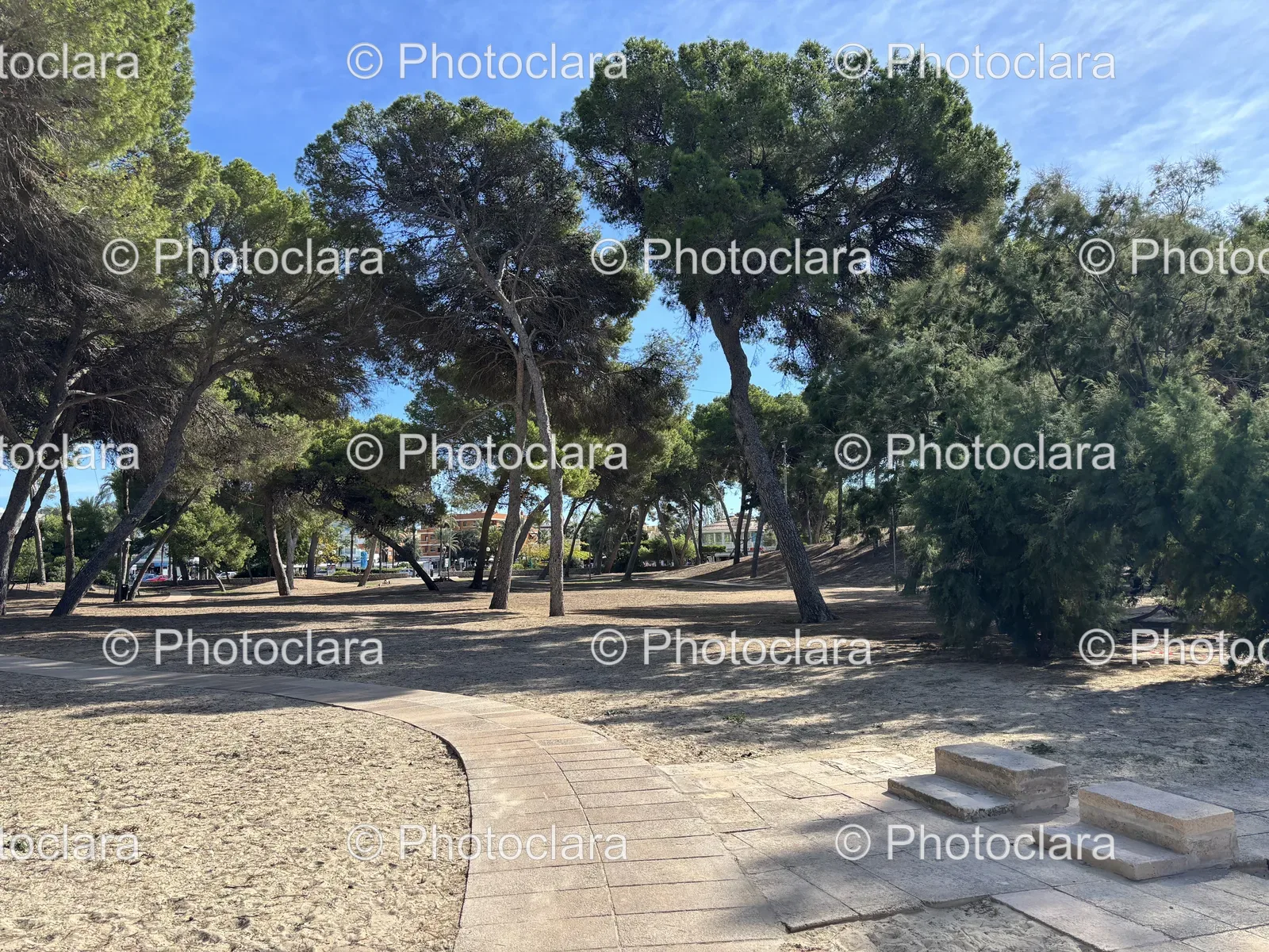 Tranquil-Park-Path.jpg