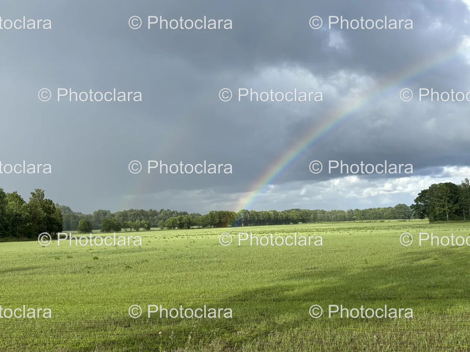 Rainbow-Over-a-Field-of-Grass.jpg