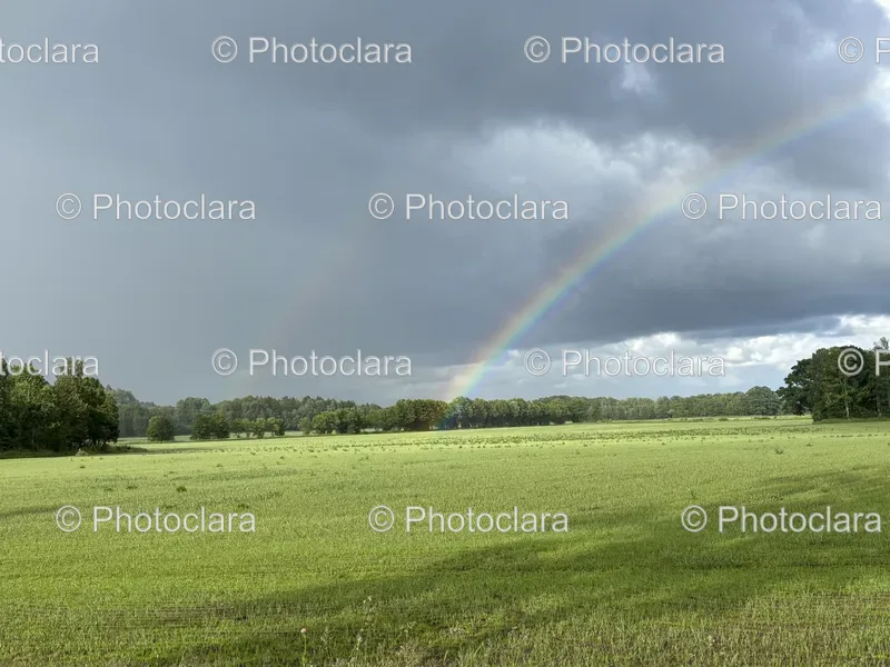 Rainbow Scenes