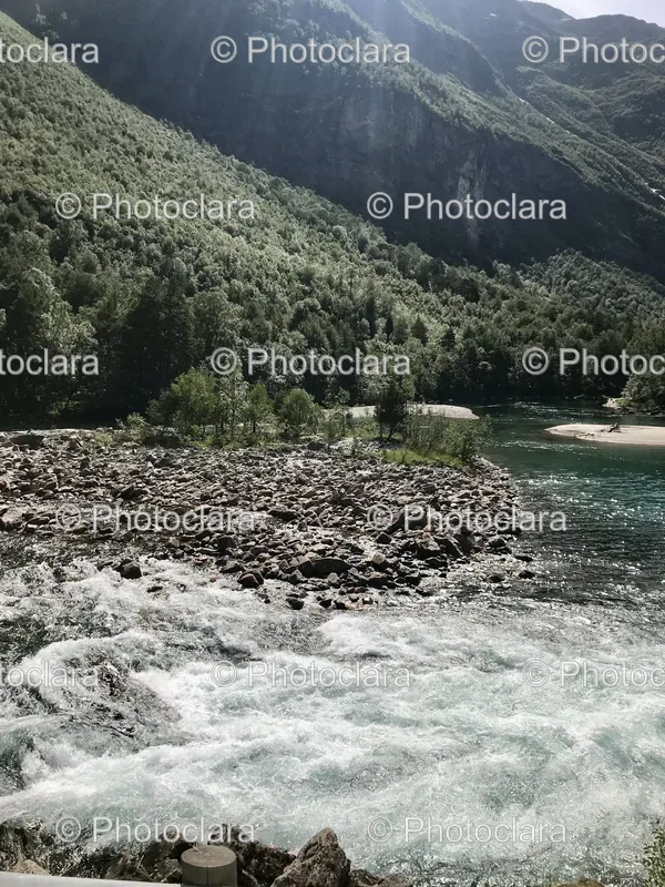 River and Forest Scenes