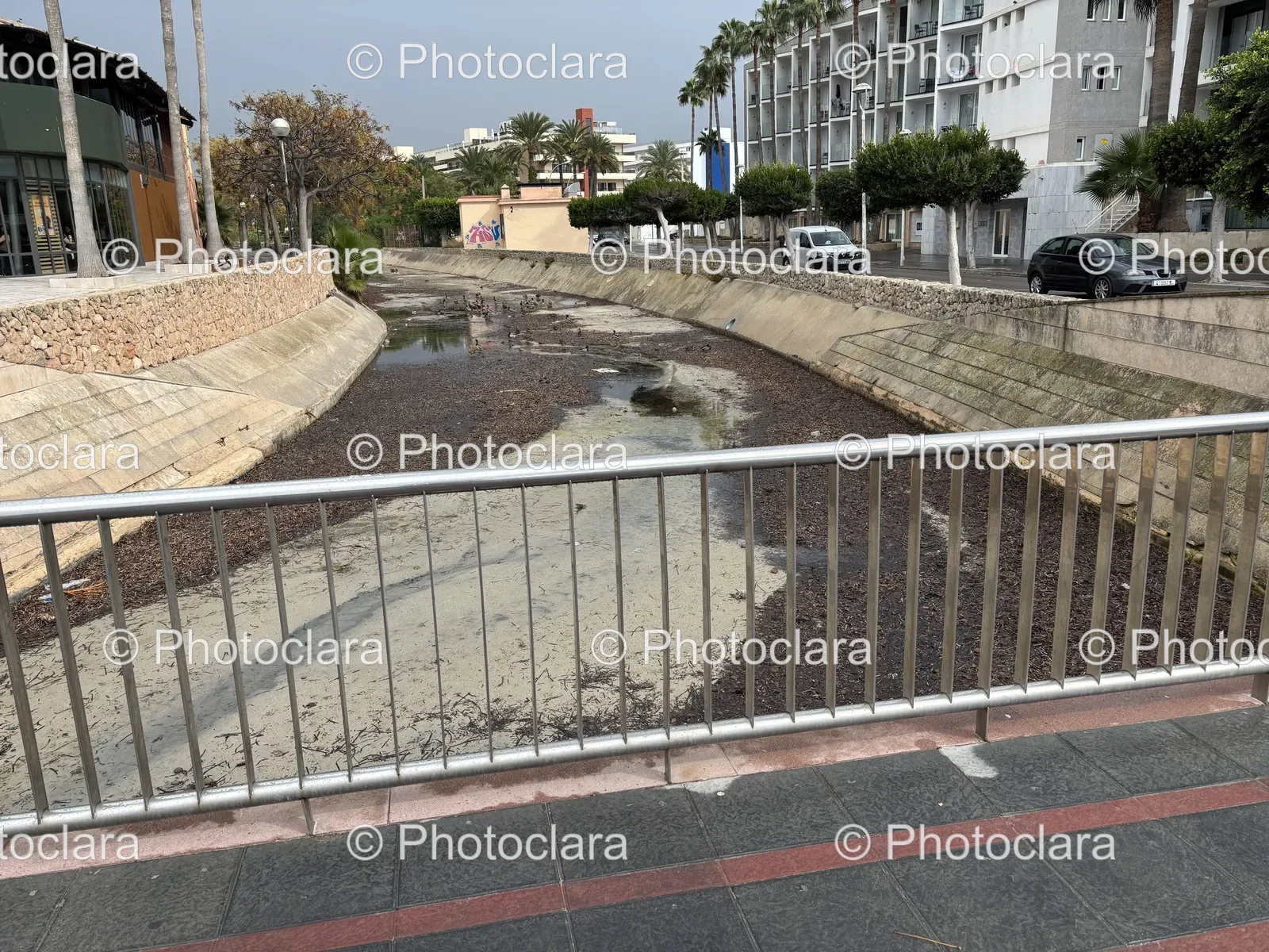 Serene-Riverside-with-Metal-Fence.jpg