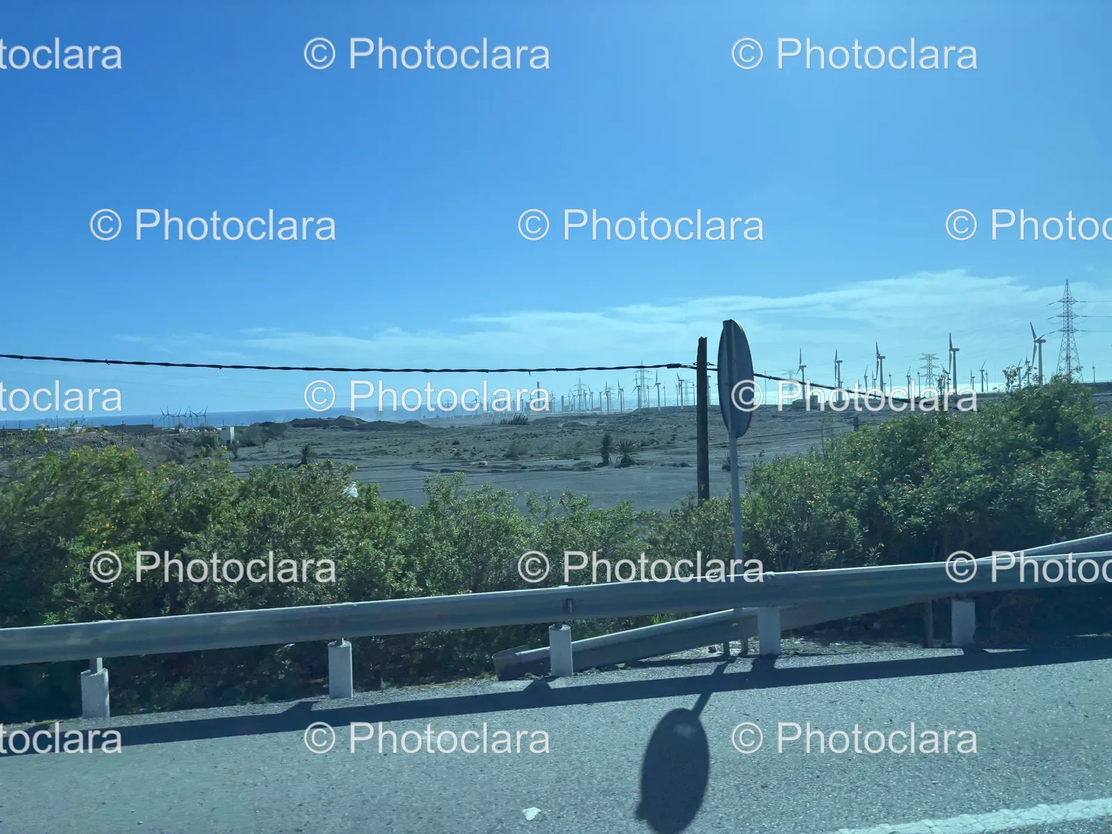 Serene-Roadside-View.jpg