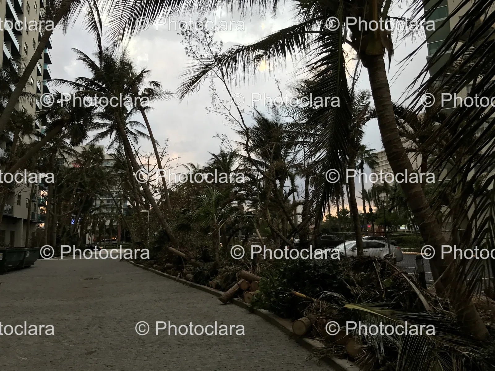 Palm-Lined-Road-with-Car-at-Sunset.jpg