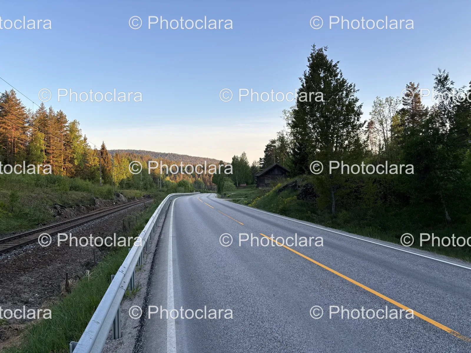 Scenic-Road-Flanked-by-Trees.jpg