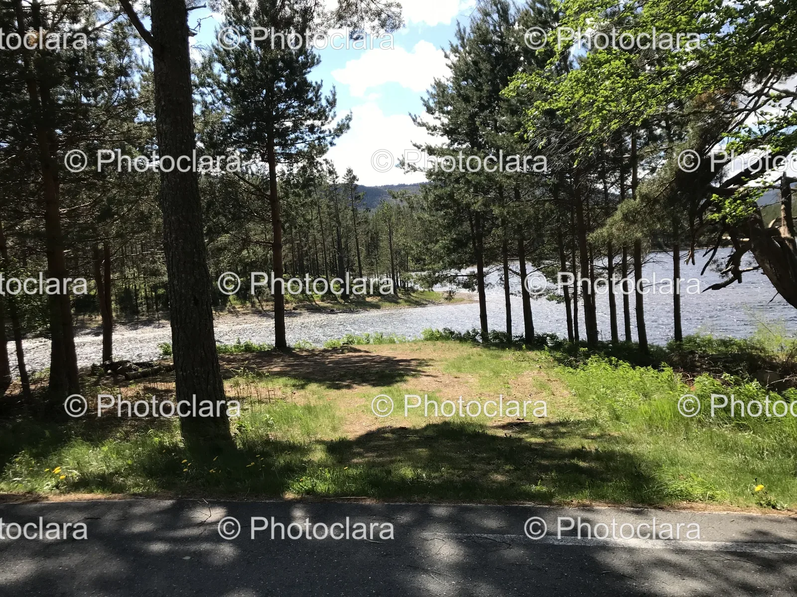 Serene-Road-with-Trees-and-Water-in-Background.jpg