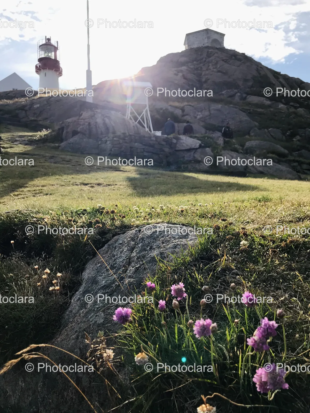 Grassy-Hill-with-Lighthouse-in-Background.jpg