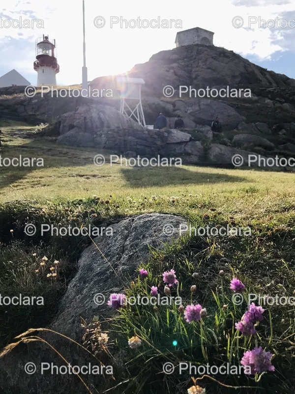 Rock and Lighthouses