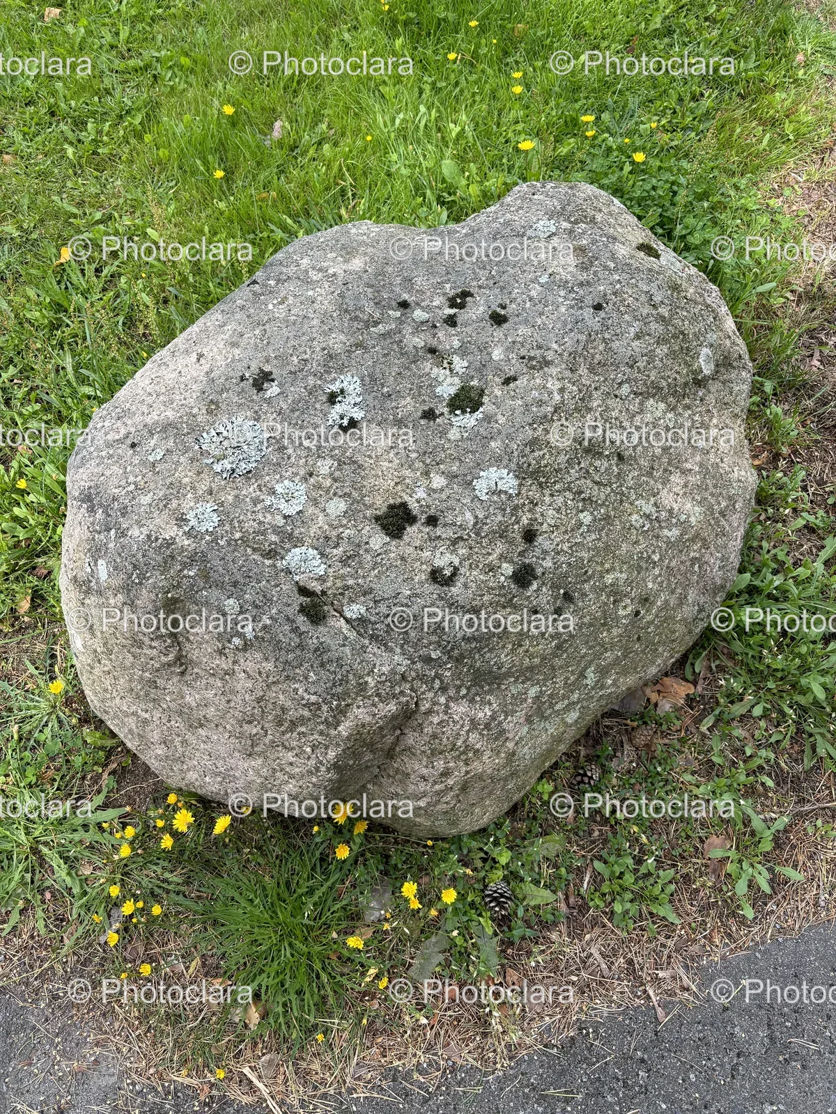 large-rock-on-grassy-field.jpg