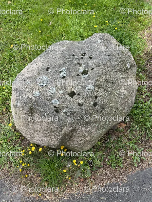 Rocks and Grass
