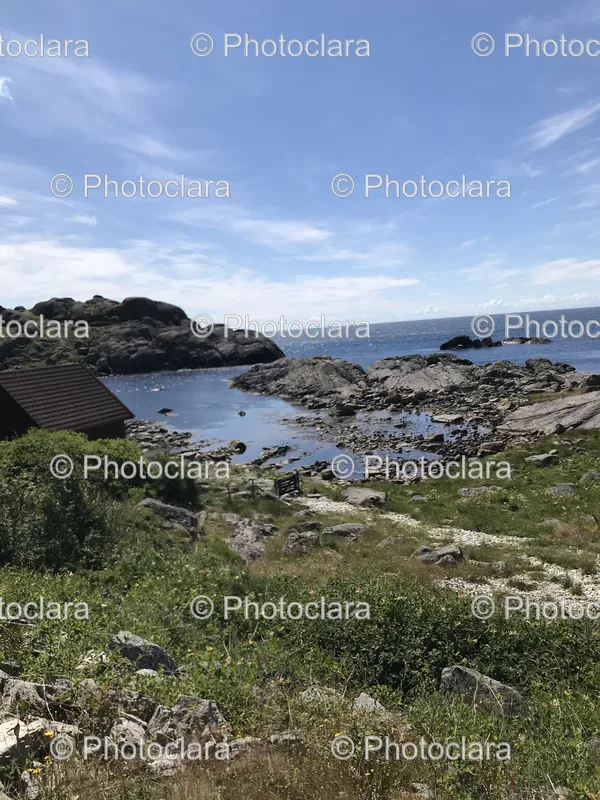 Rocks and Grasslands
