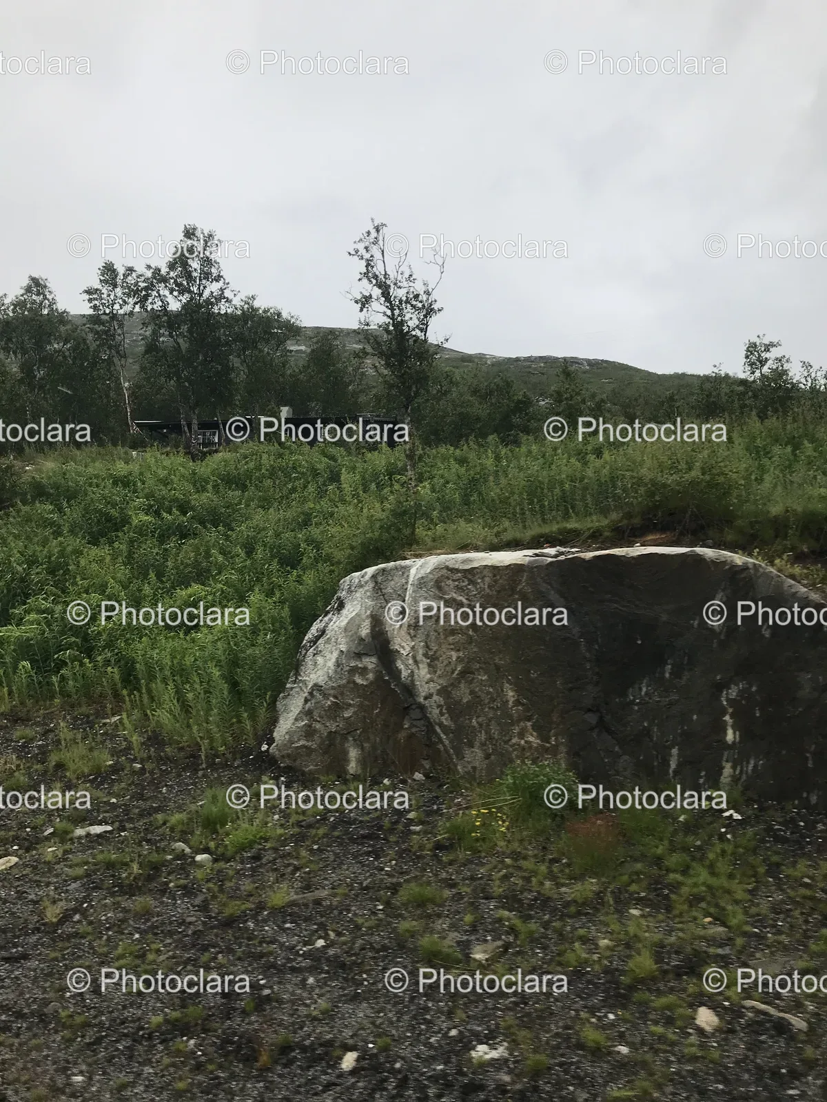 large-rock-in-grassy-field.jpg
