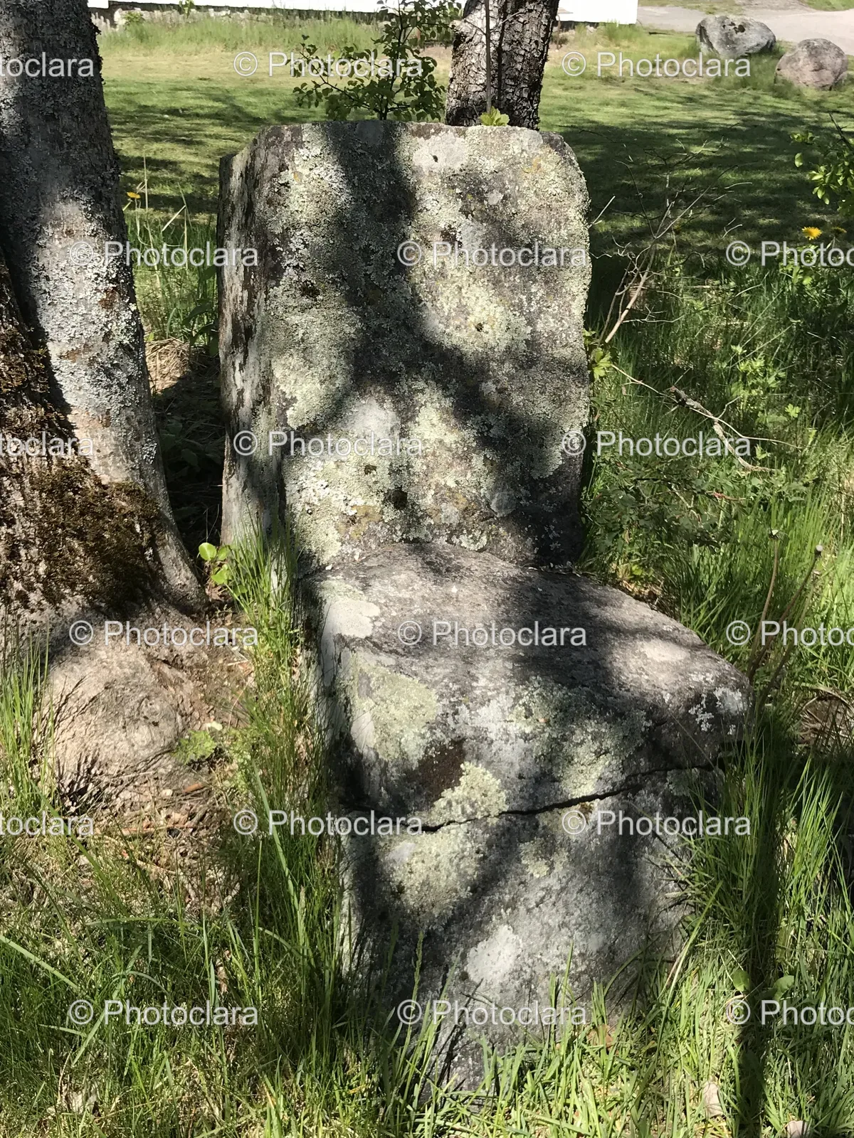 rock-in-grassland.jpg