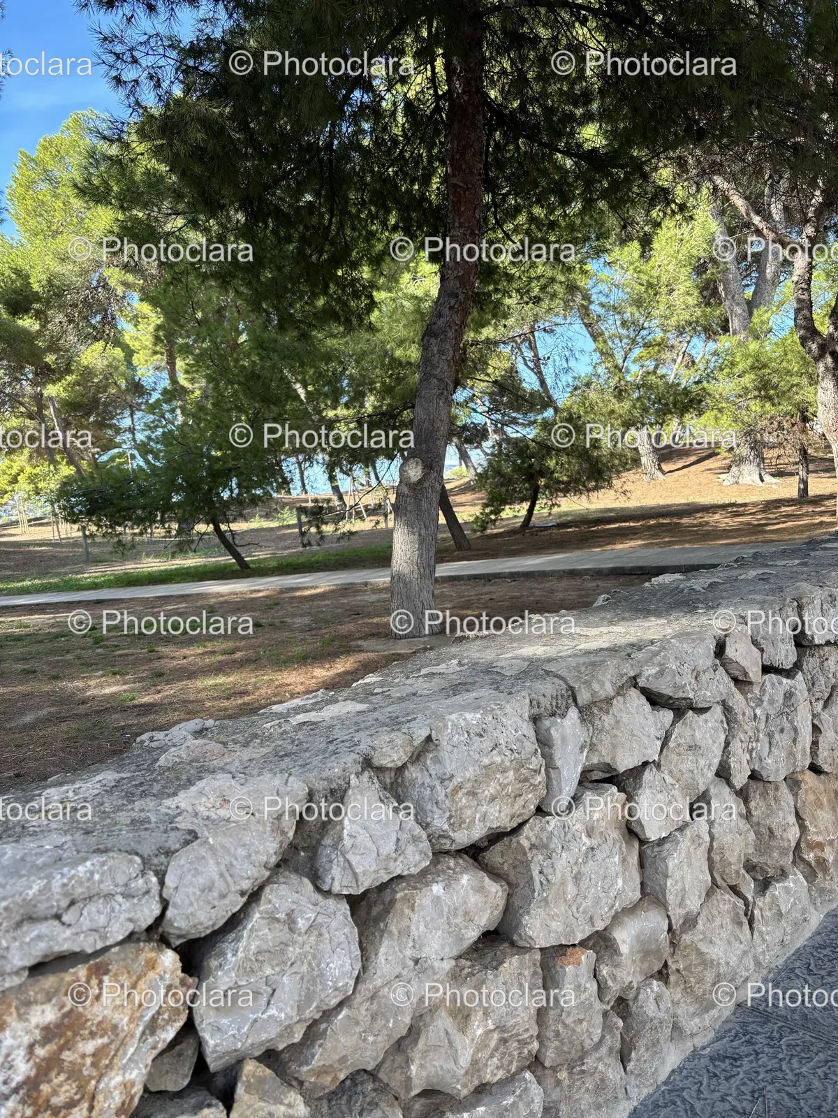 Stone-Wall-with-Ambient-Trees.jpg