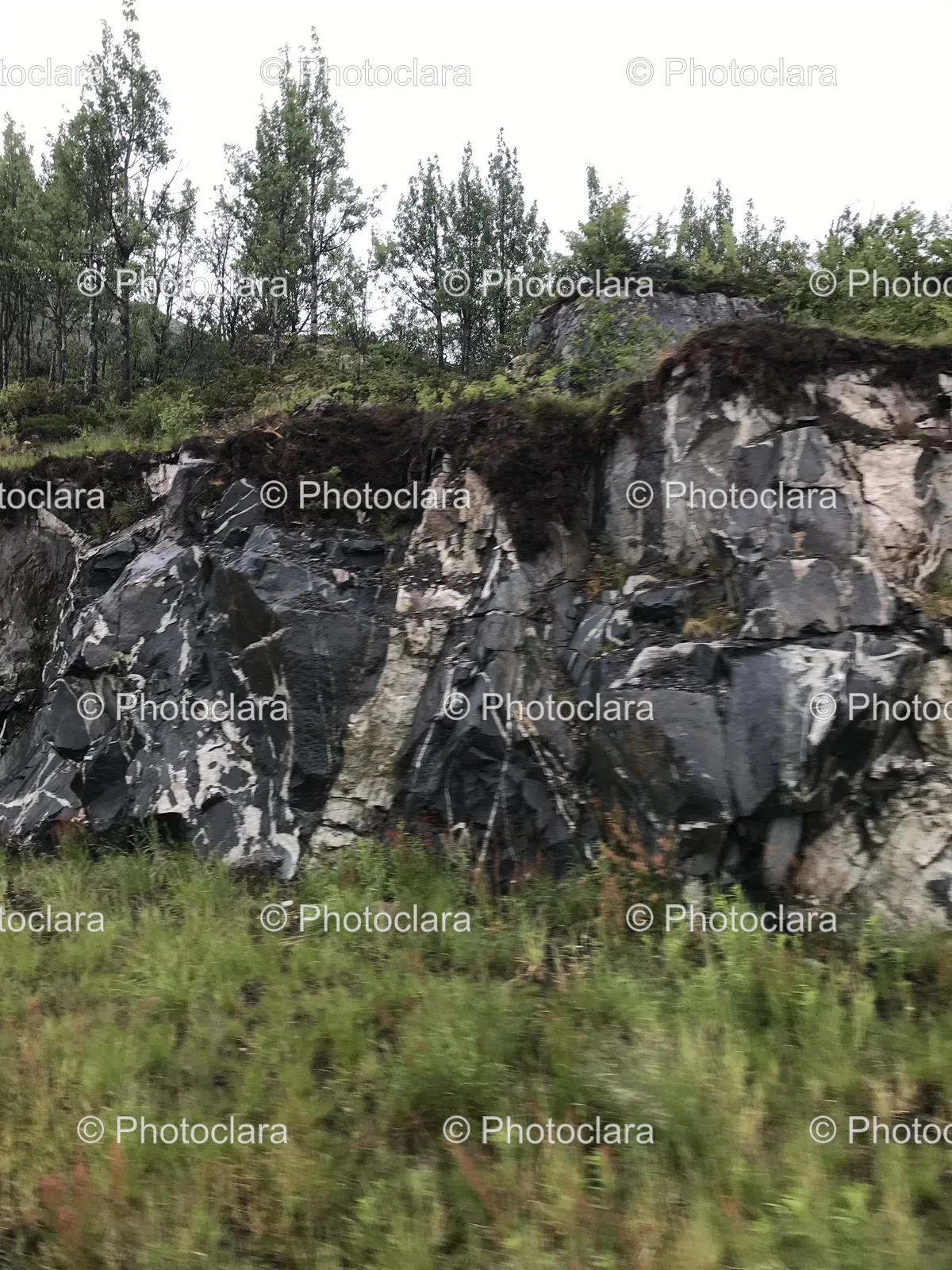 rock-cliff-trees-background.jpg
