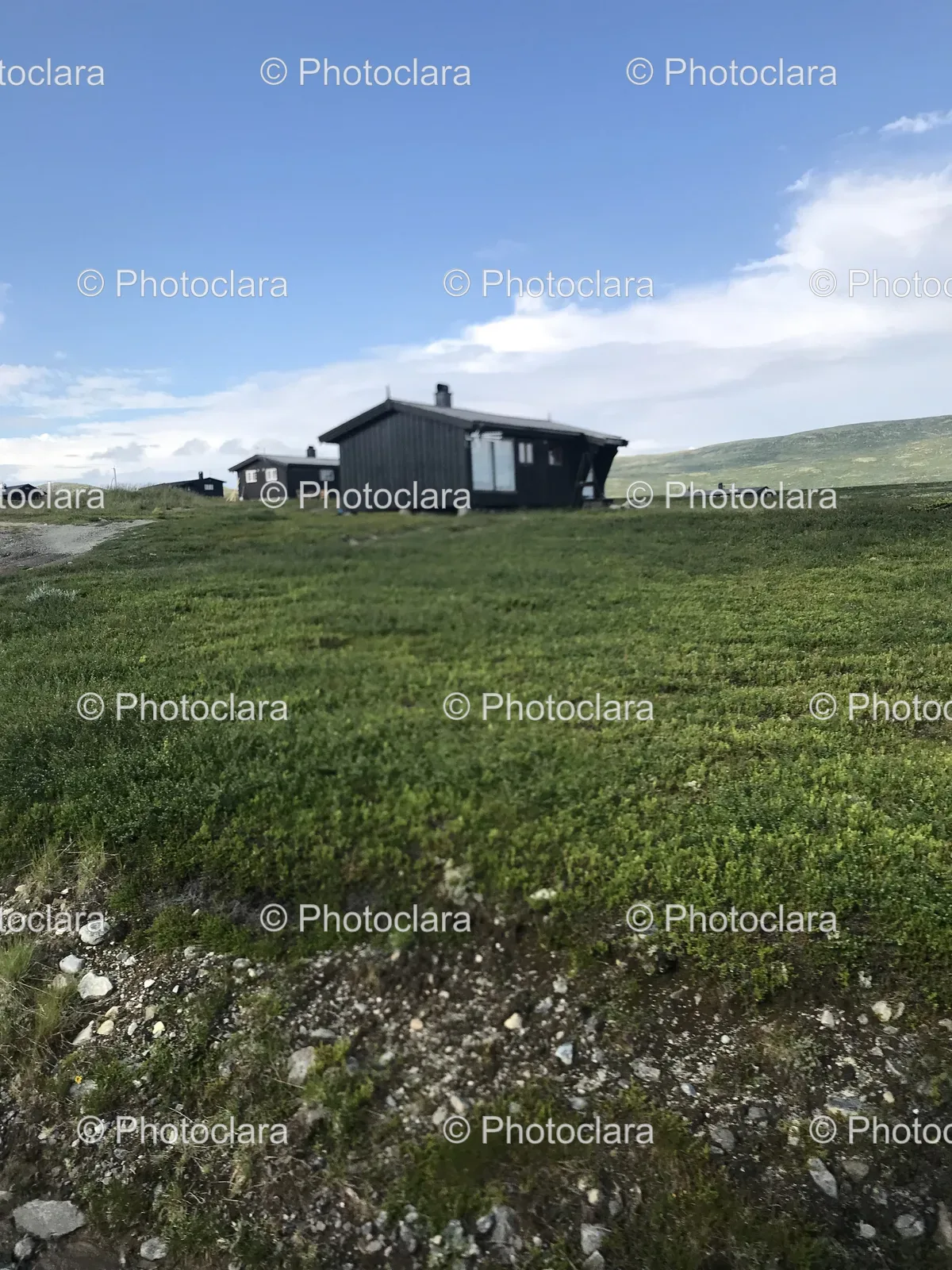 House-in-a-Field.jpg