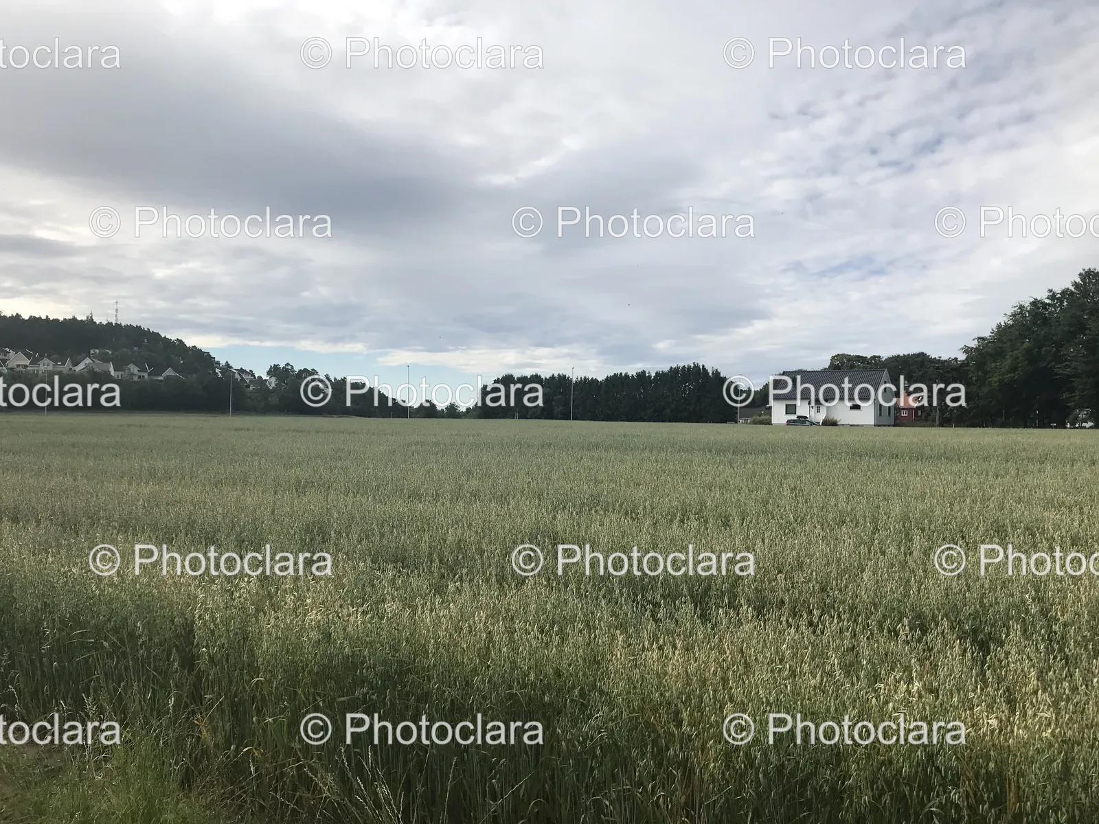 serene-field-with-house-in-background.jpg