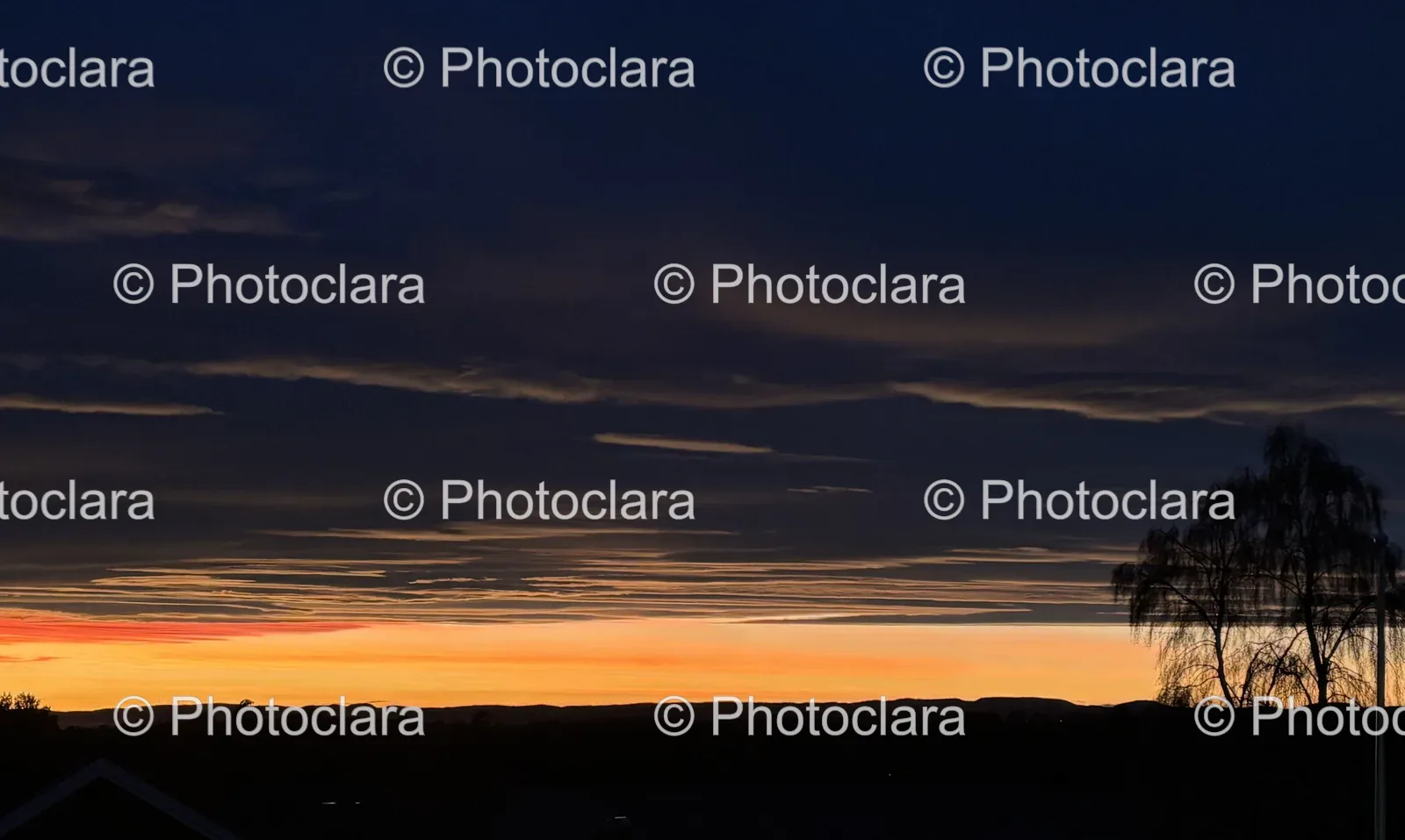 giraffe-silhouette-vibrant-sky.jpg