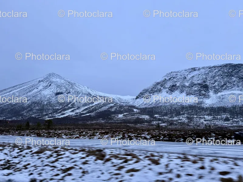 Snowy Landscapes
