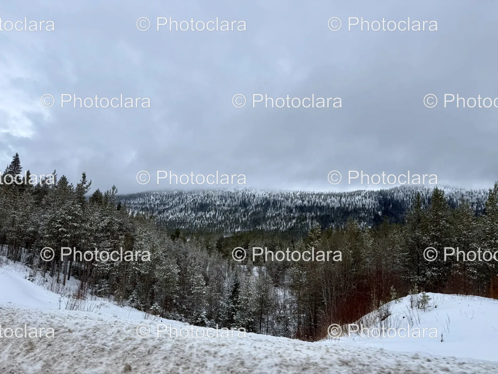 serene-snow-capped-mountain-vista.jpg