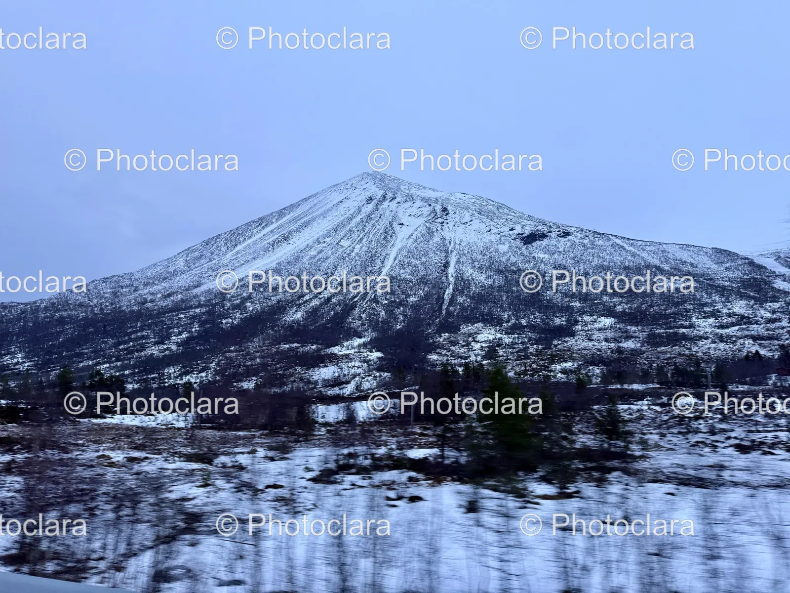 Serene-Snow-Capped-Mountain-with-Trees.jpg