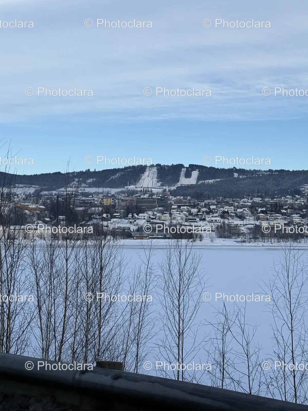 Serene-Snowy-Cityscape-Lake-Winter-Landscape.jpg