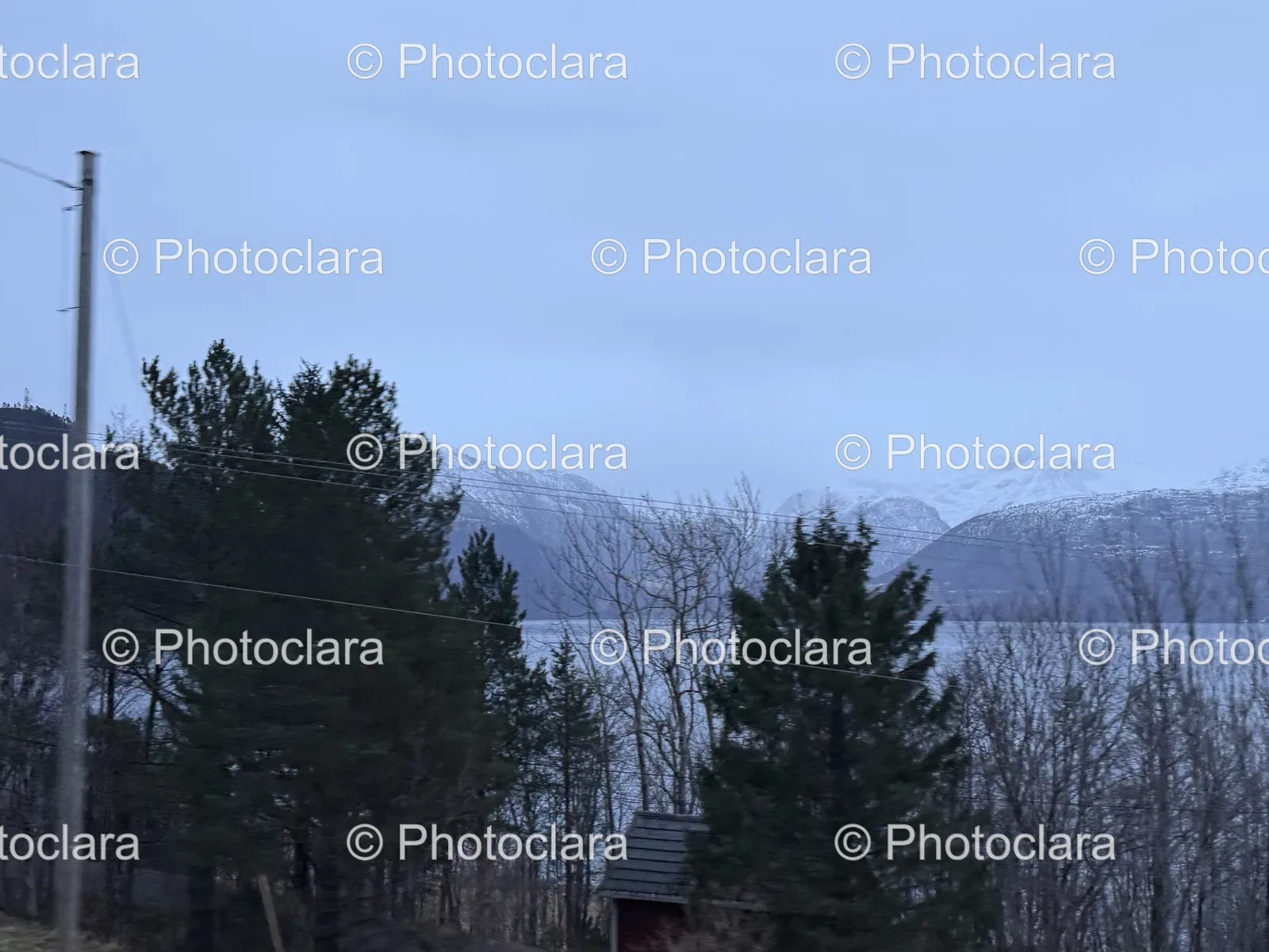 serene-winter-retreat-in-the-woods.jpg