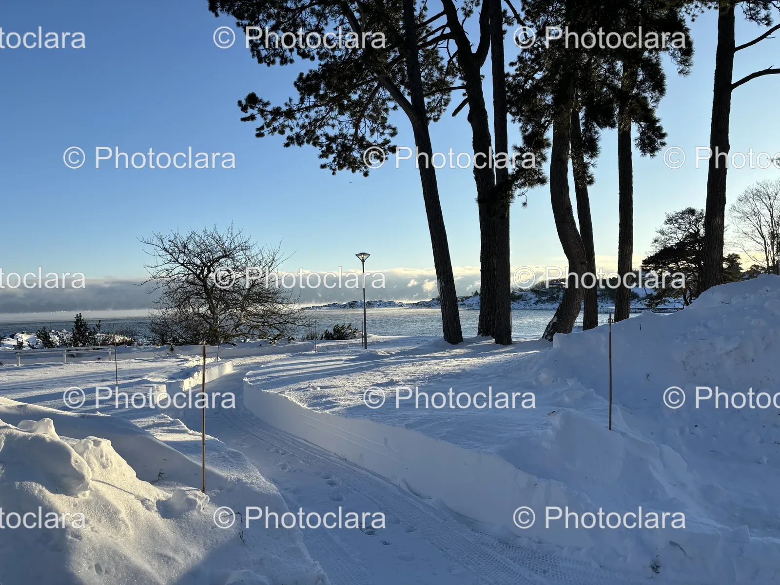 Snow-Covered-Path-Trees-Water.jpg
