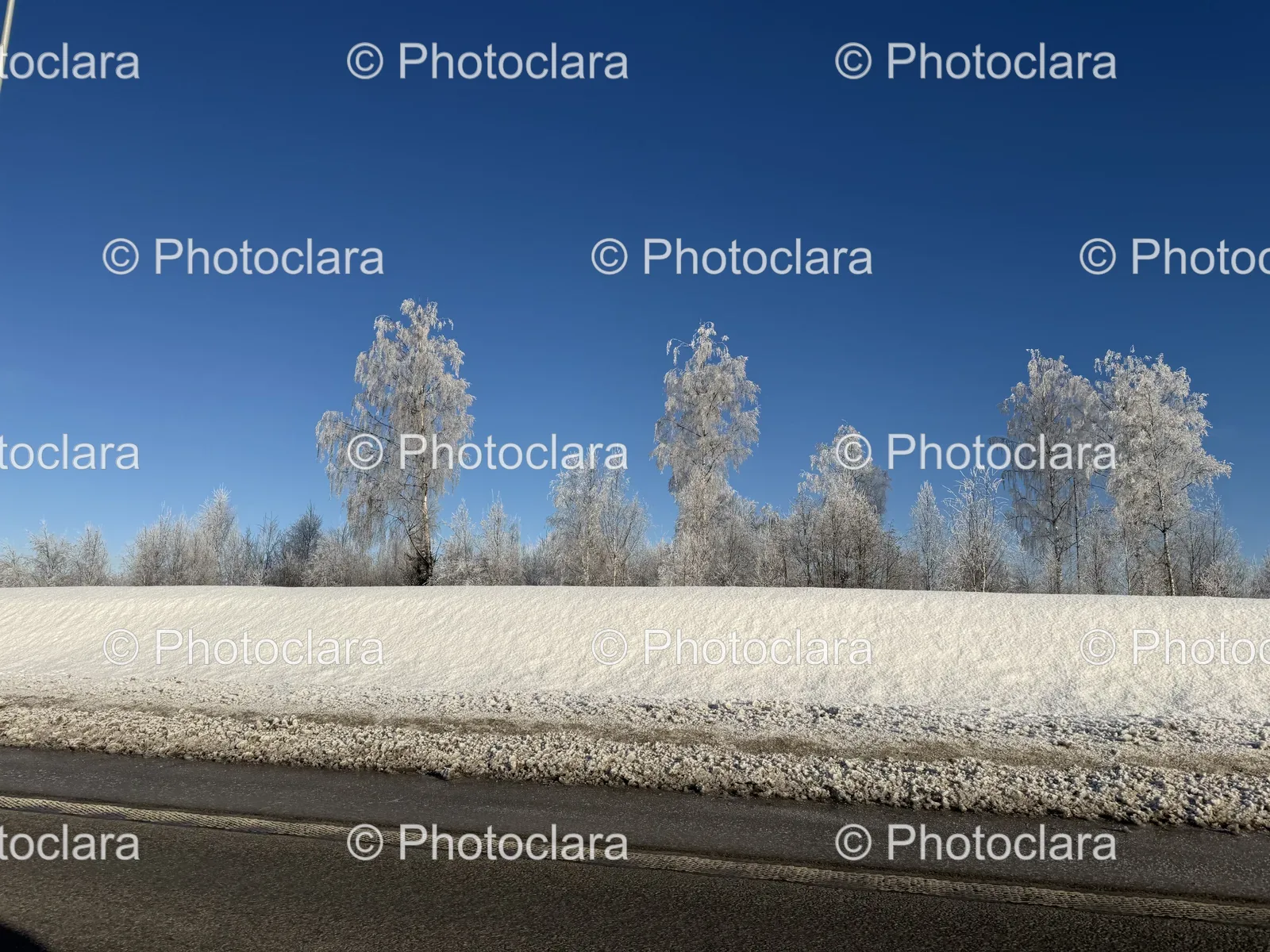 Snow-Draped-Road-Winter-Scene.jpg