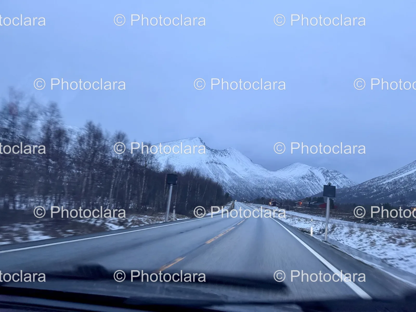 winter-road-snowy-surroundings.jpg