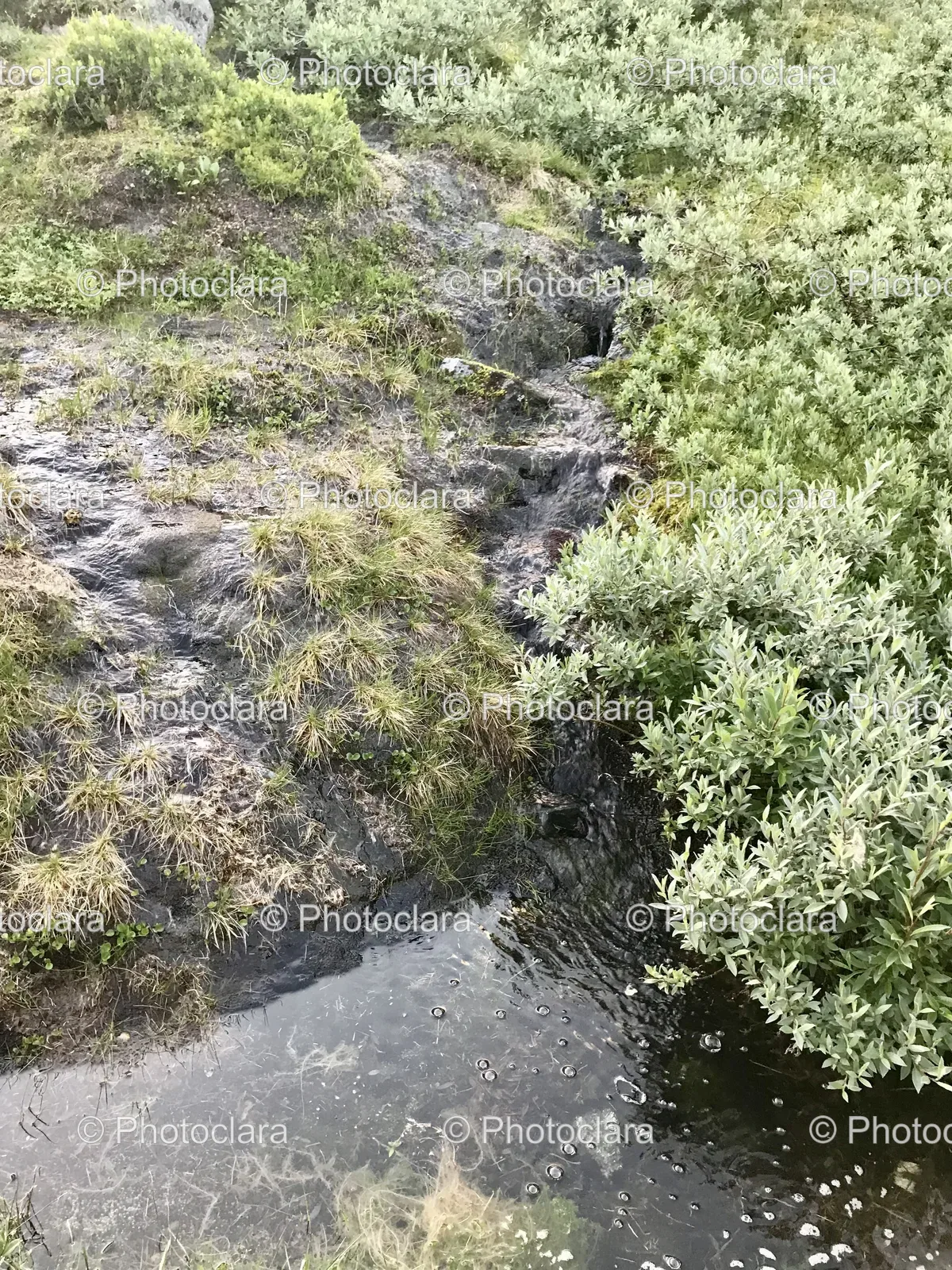 serene-stream-in-rocky-terrain.jpg