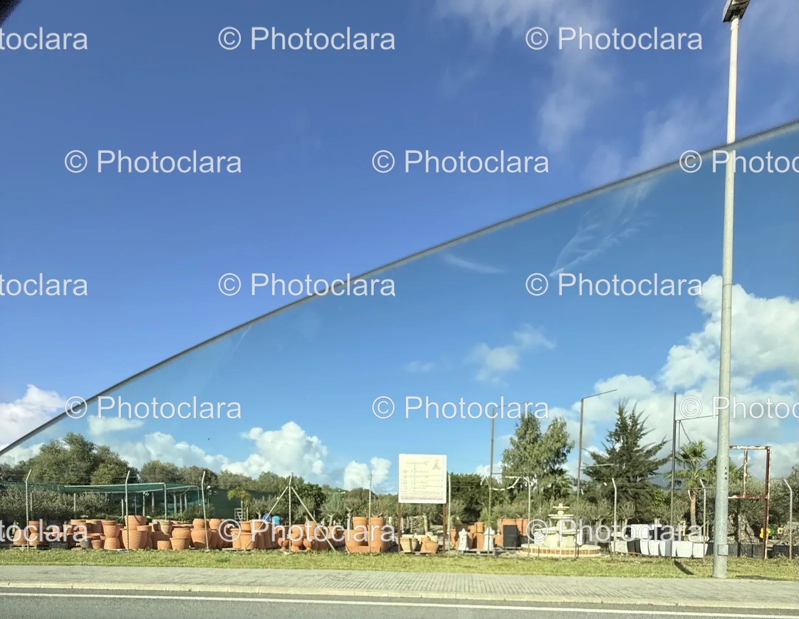 Glass-Window-Framed-by-Trees-and-Urban-Elements.jpg