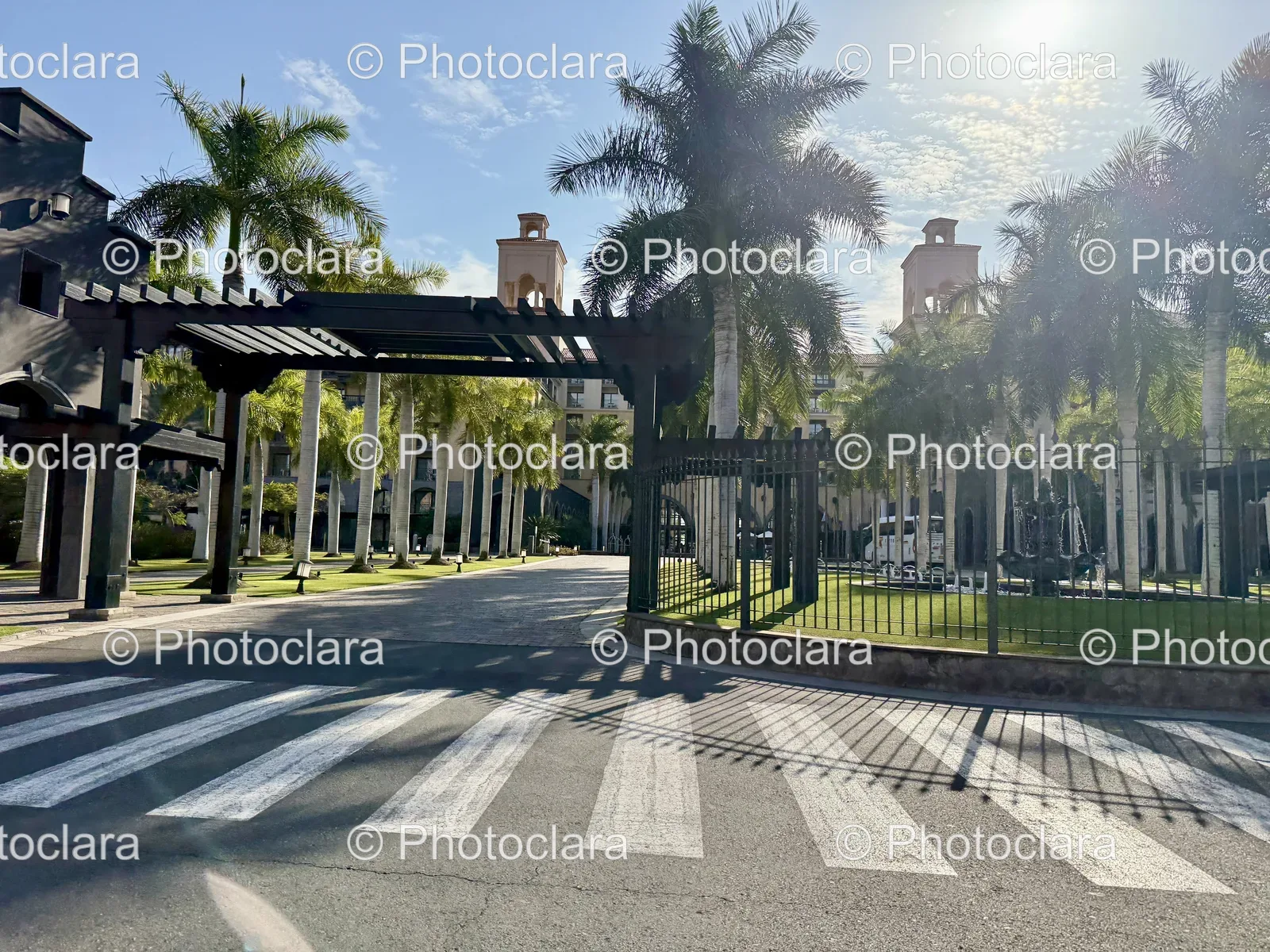 Street-with-Lush-Trees-and-Fencing.jpg