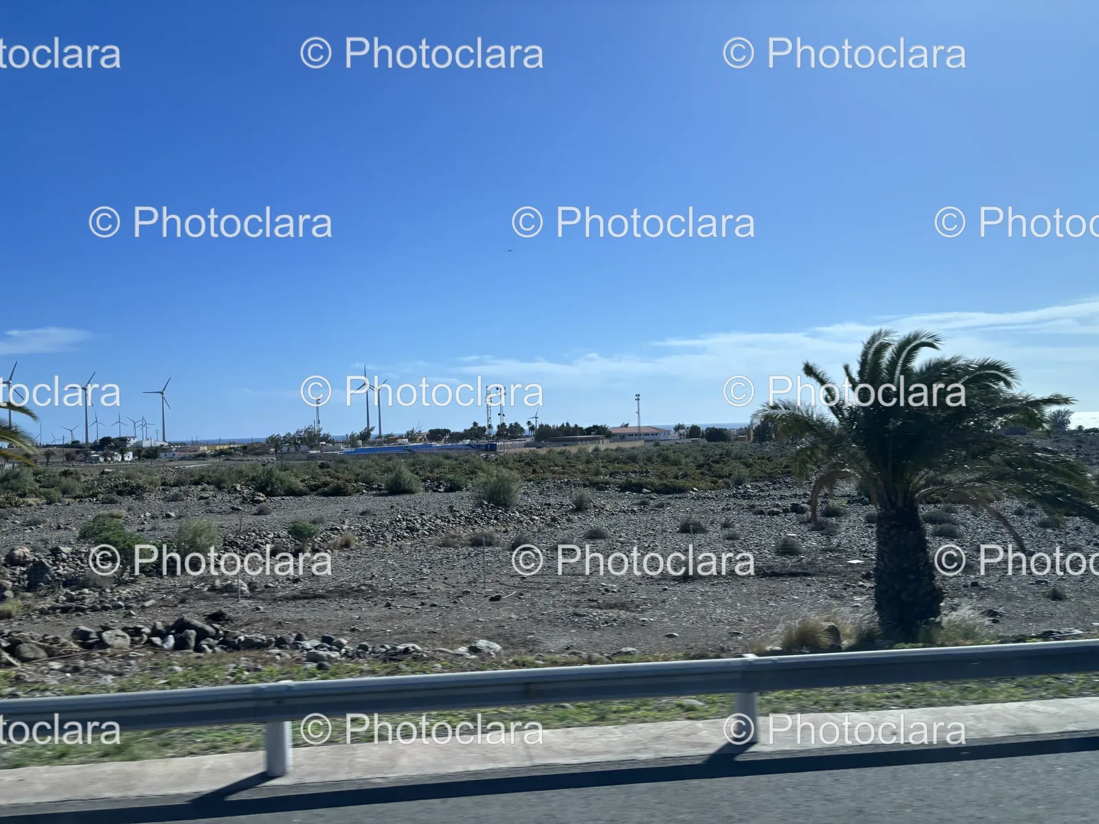 Sunny-Road-with-Palm-Tree-and-Expansive-Sky.jpg