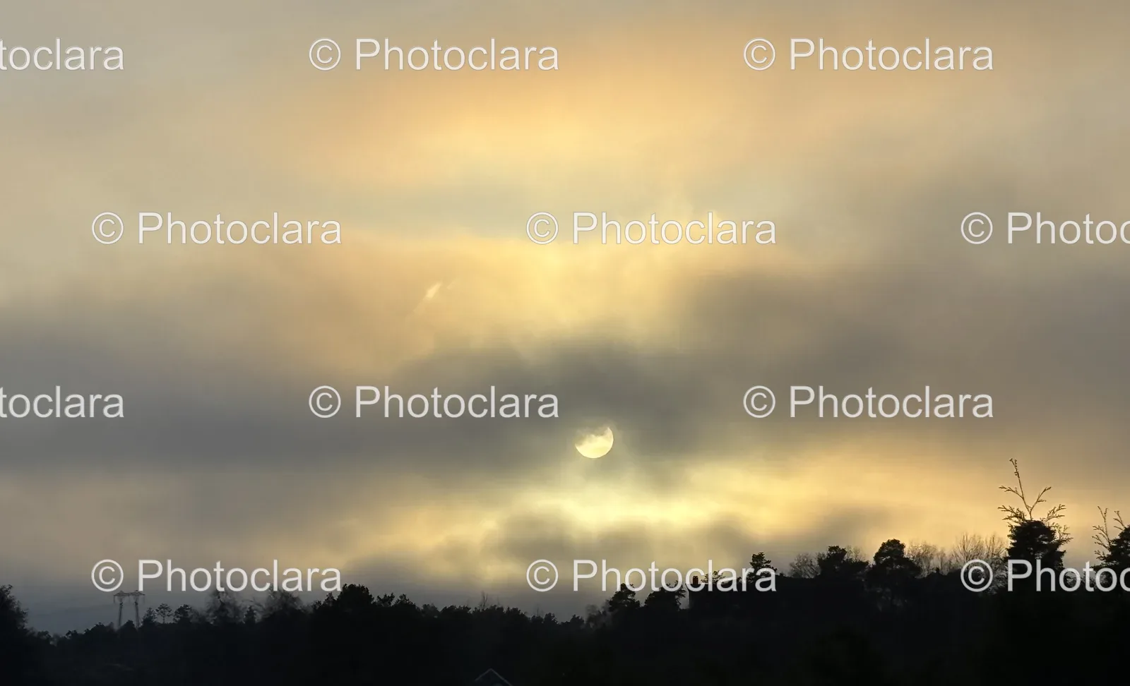sunset-behind-silhouetted-tree.jpg