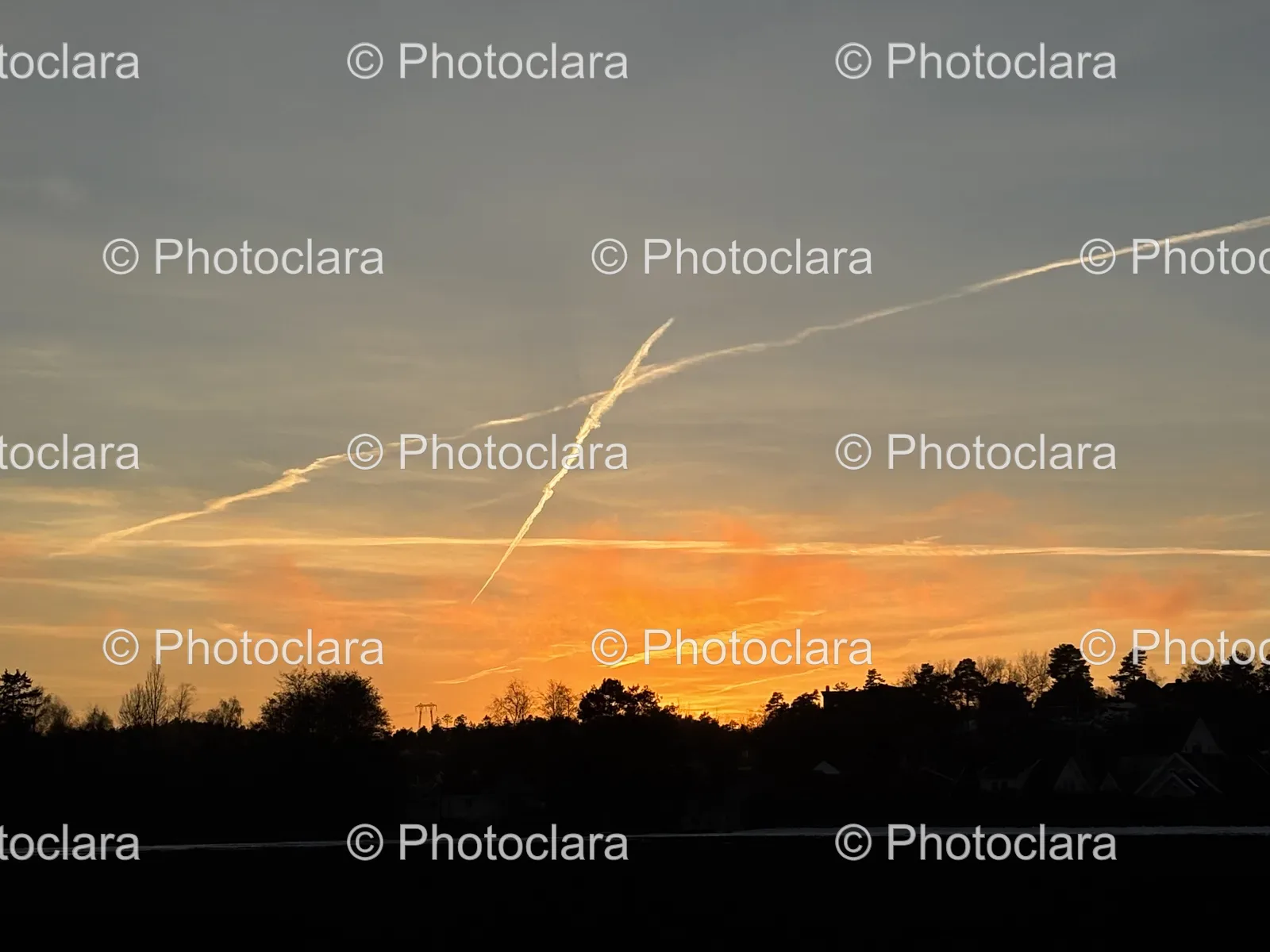 Sunset-with-Silhouetted-Trees.jpg
