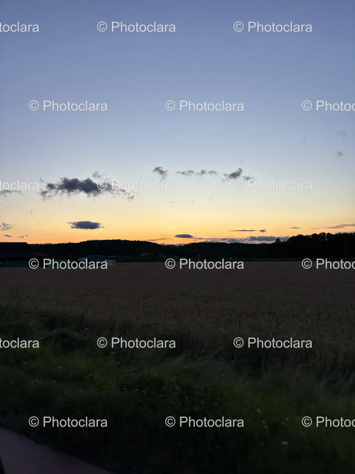 Sunset-Over-Grassy-Field.jpg