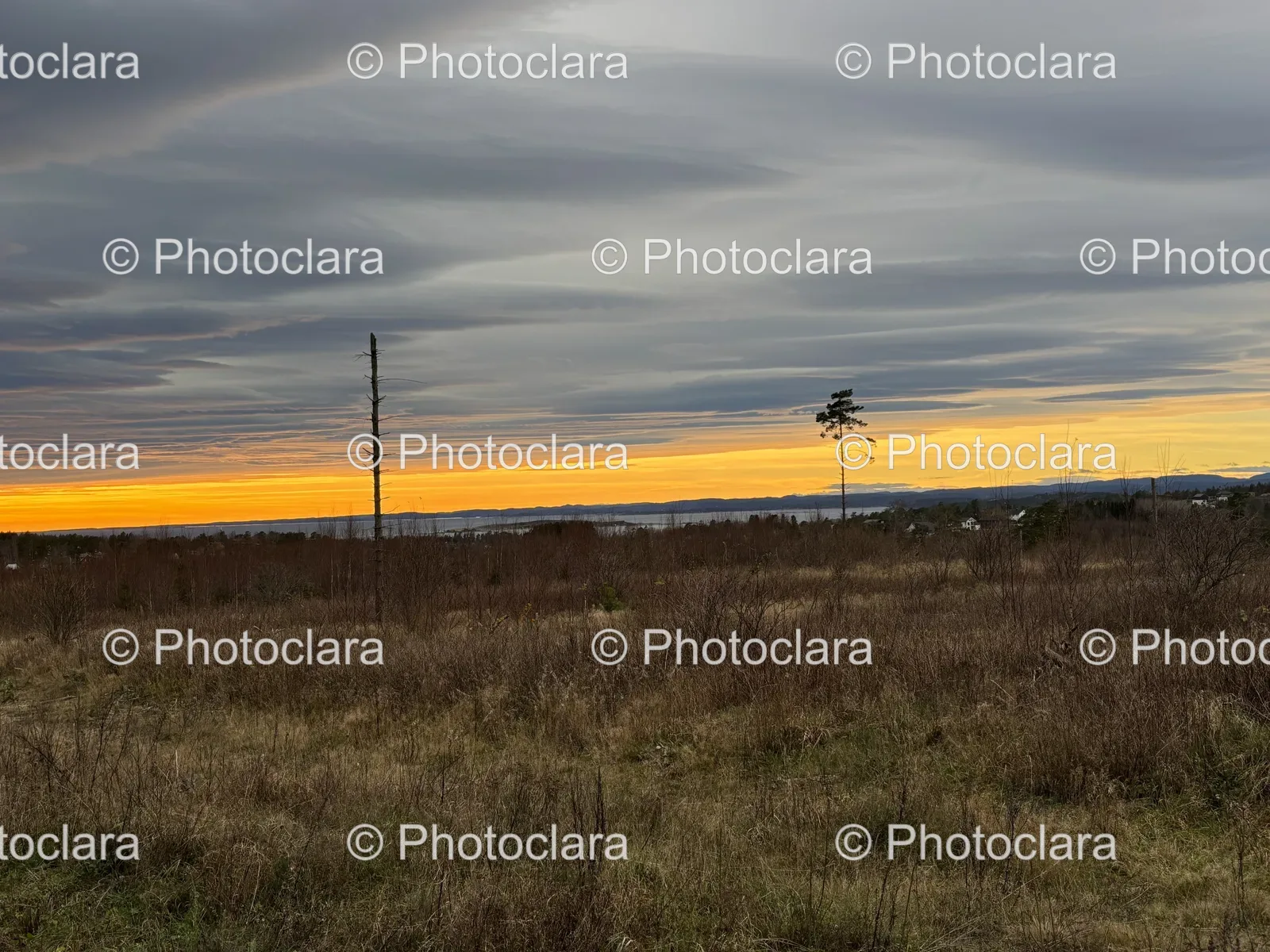 Tranquil-Sunset-Over-a-Serene-Field.jpg