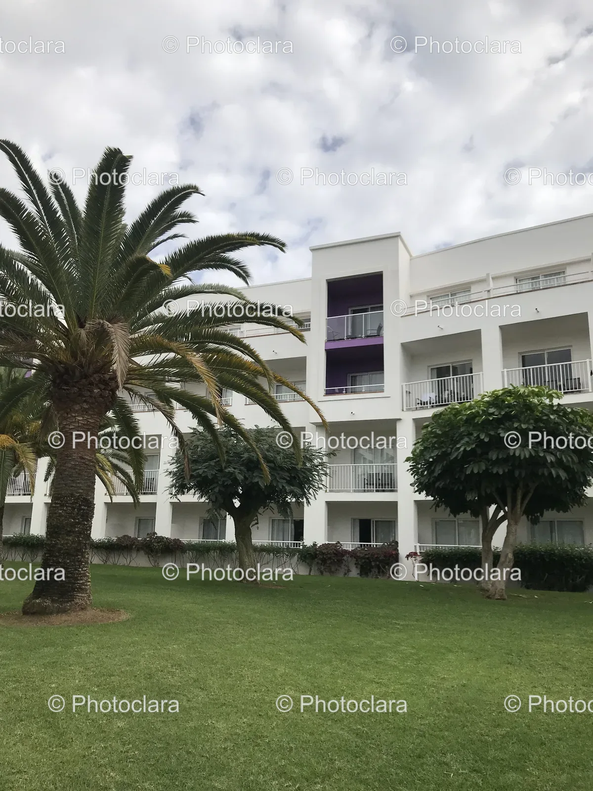 Palm-Trees-Building-Serene-Scene.jpg