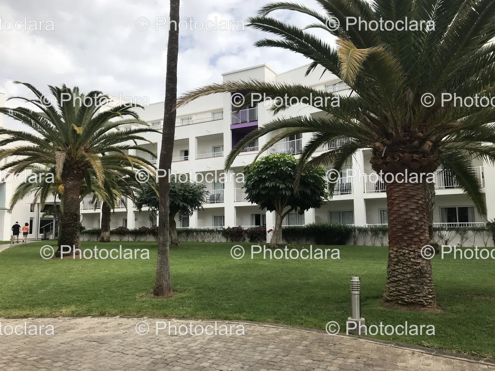 Palm-Trees-in-Front-of-Building.jpg