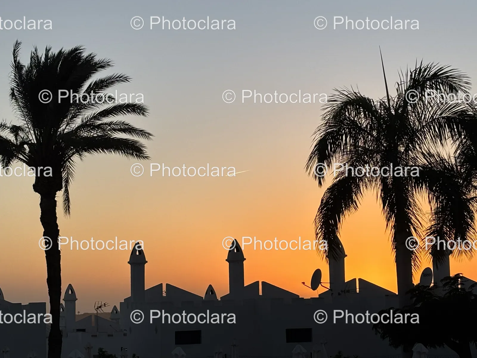 sunset-silhouette-palm-trees-building.jpg