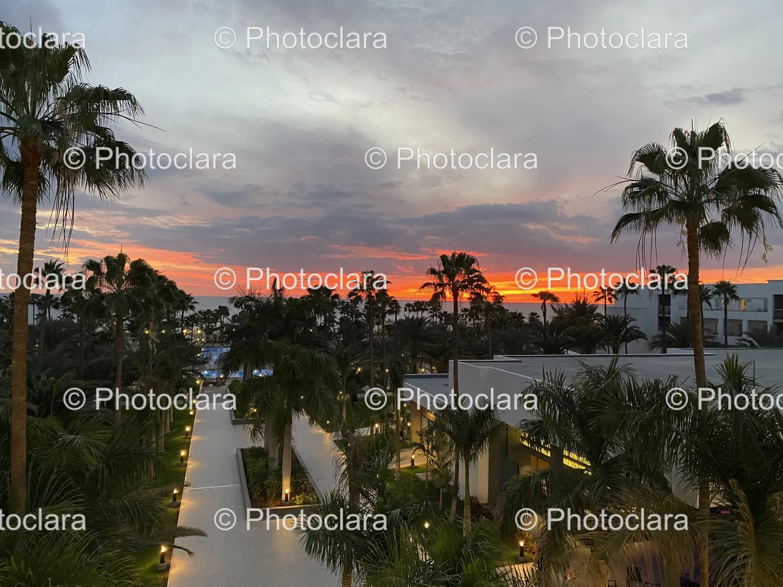Sunset-with-Palm-Trees.jpg