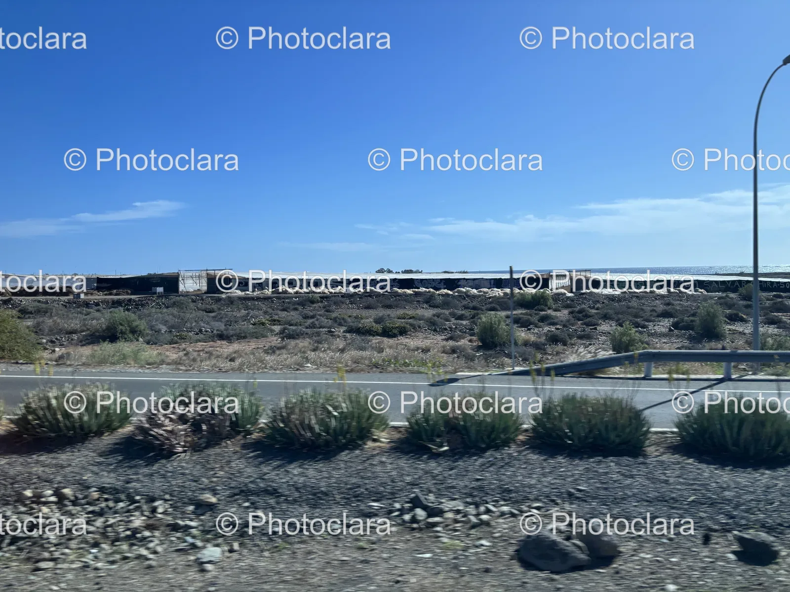 Tranquil-Roadside-with-Train.jpg