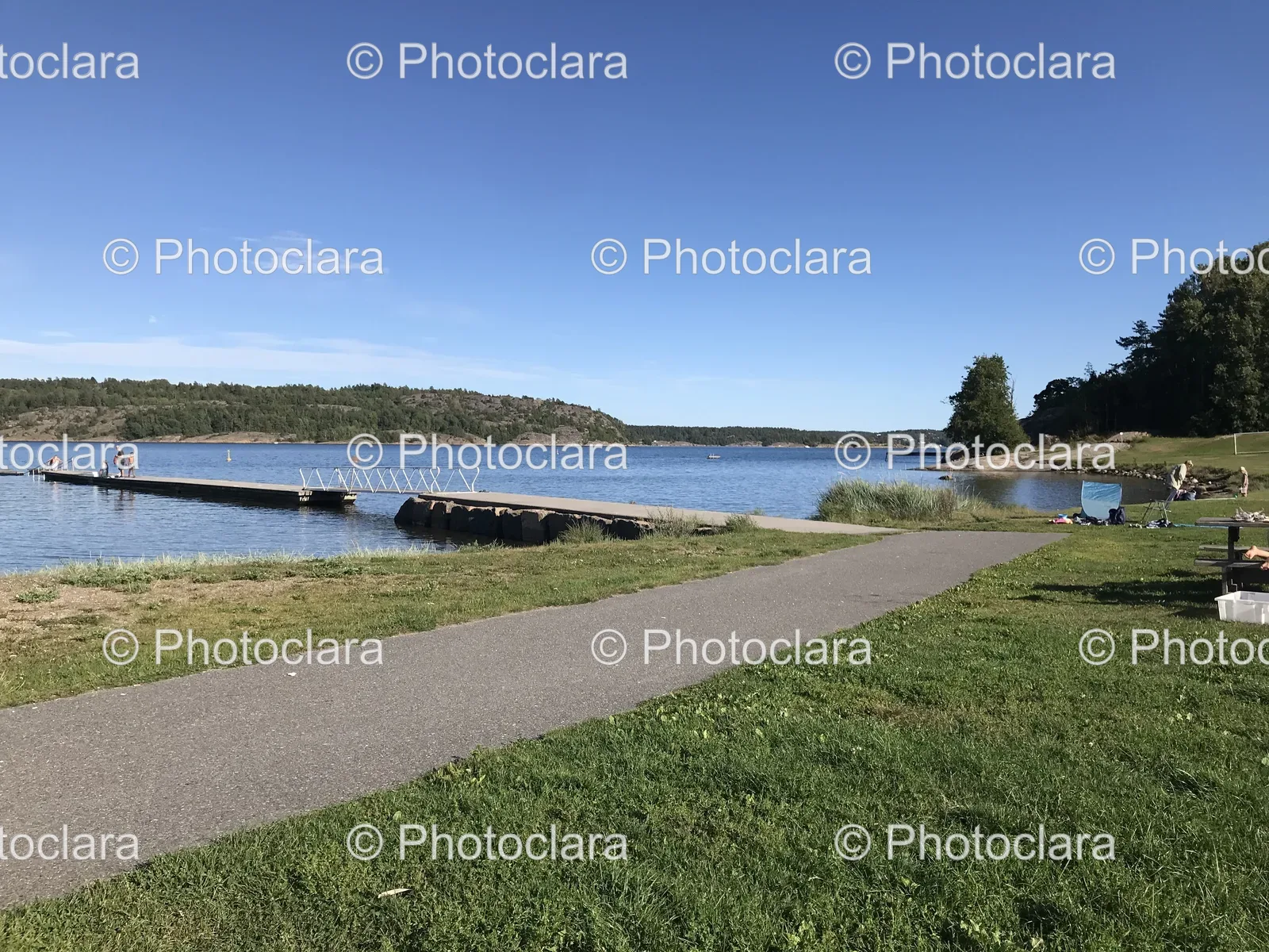 grass-path-leading-to-dock-on-serene-waters.jpg