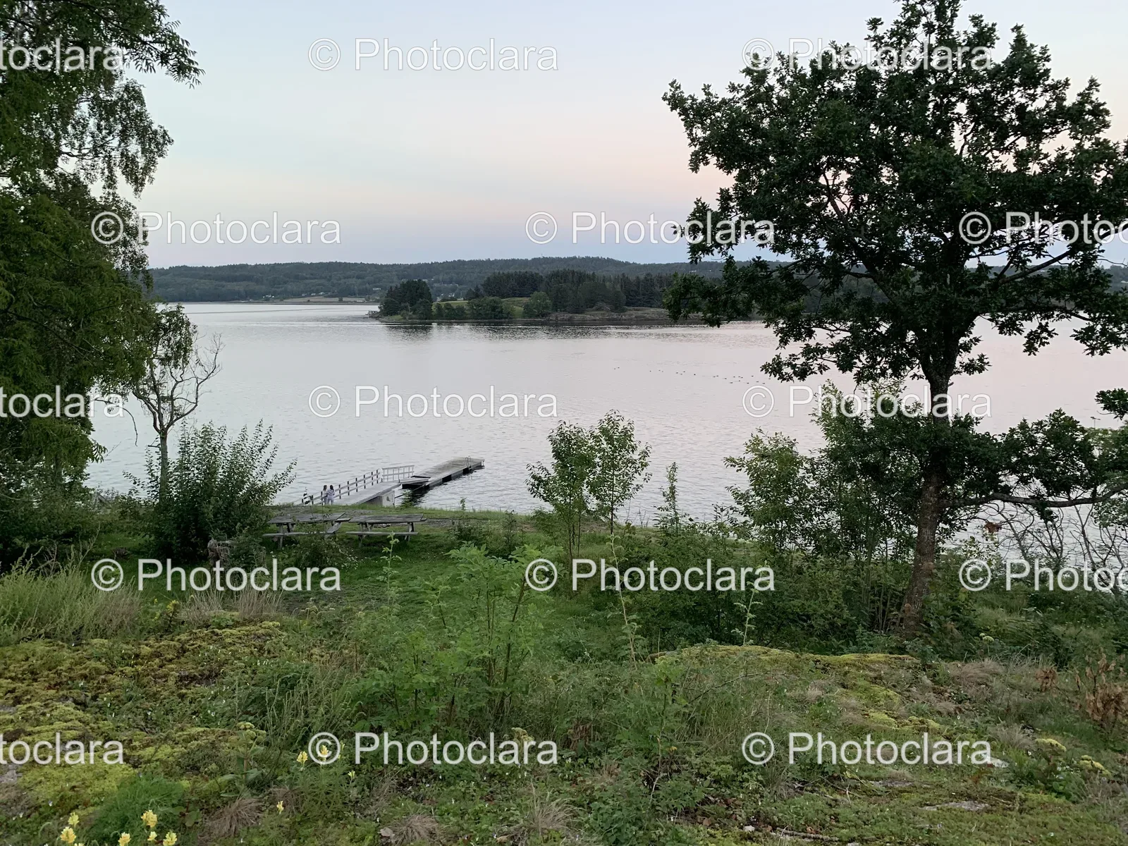 Peaceful-Lakeside-Dock-Trees.jpg