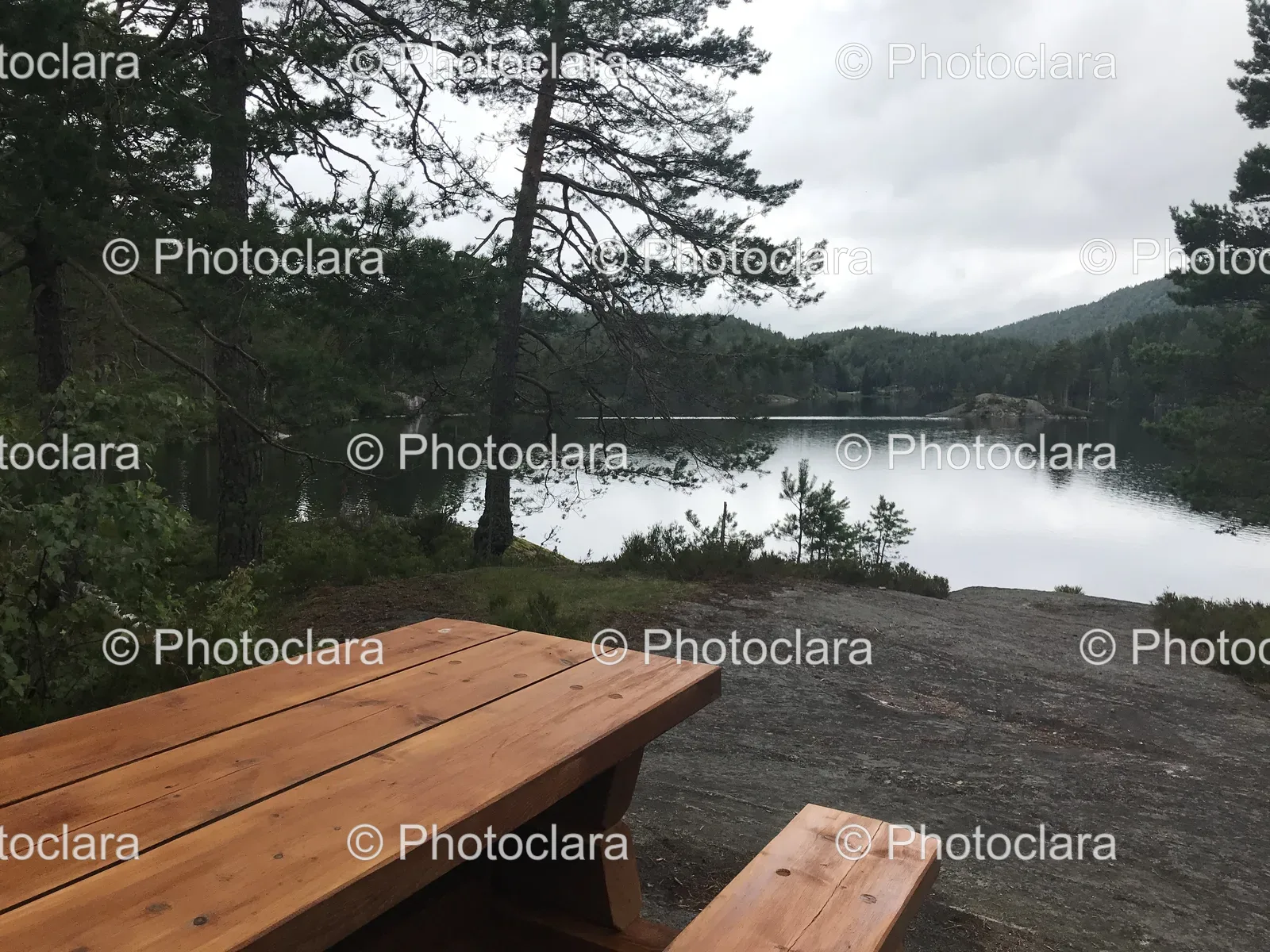 Picnic-Table-by-Serene-Lake.jpg