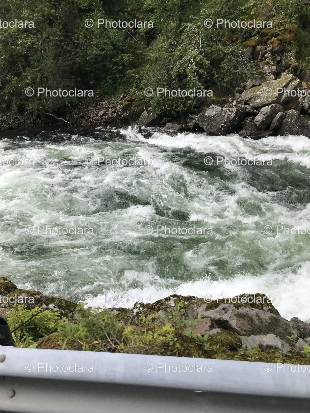 River-with-Rocks-and-Trees.jpg
