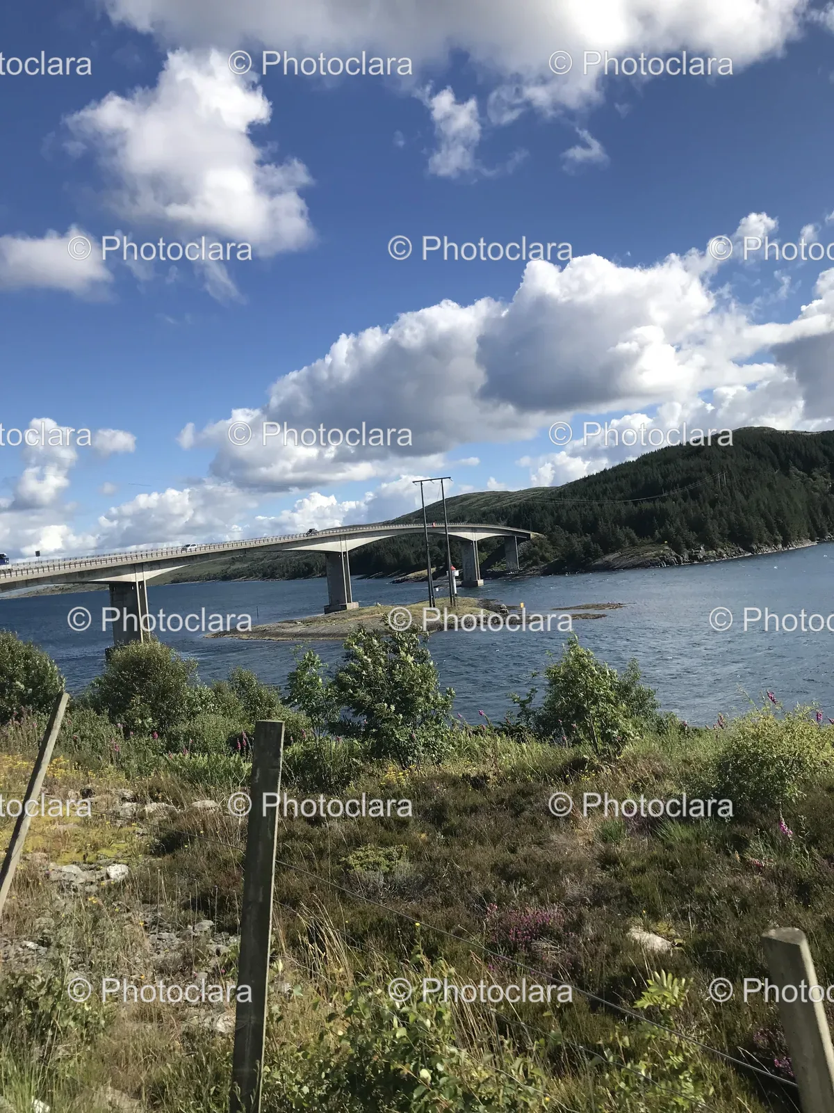 Scenic-Bridge-Over-Tranquil-Waters.jpg